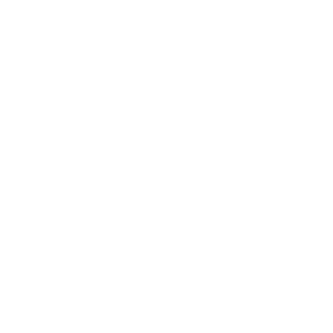 Lost or Stolen Car Key Solutions